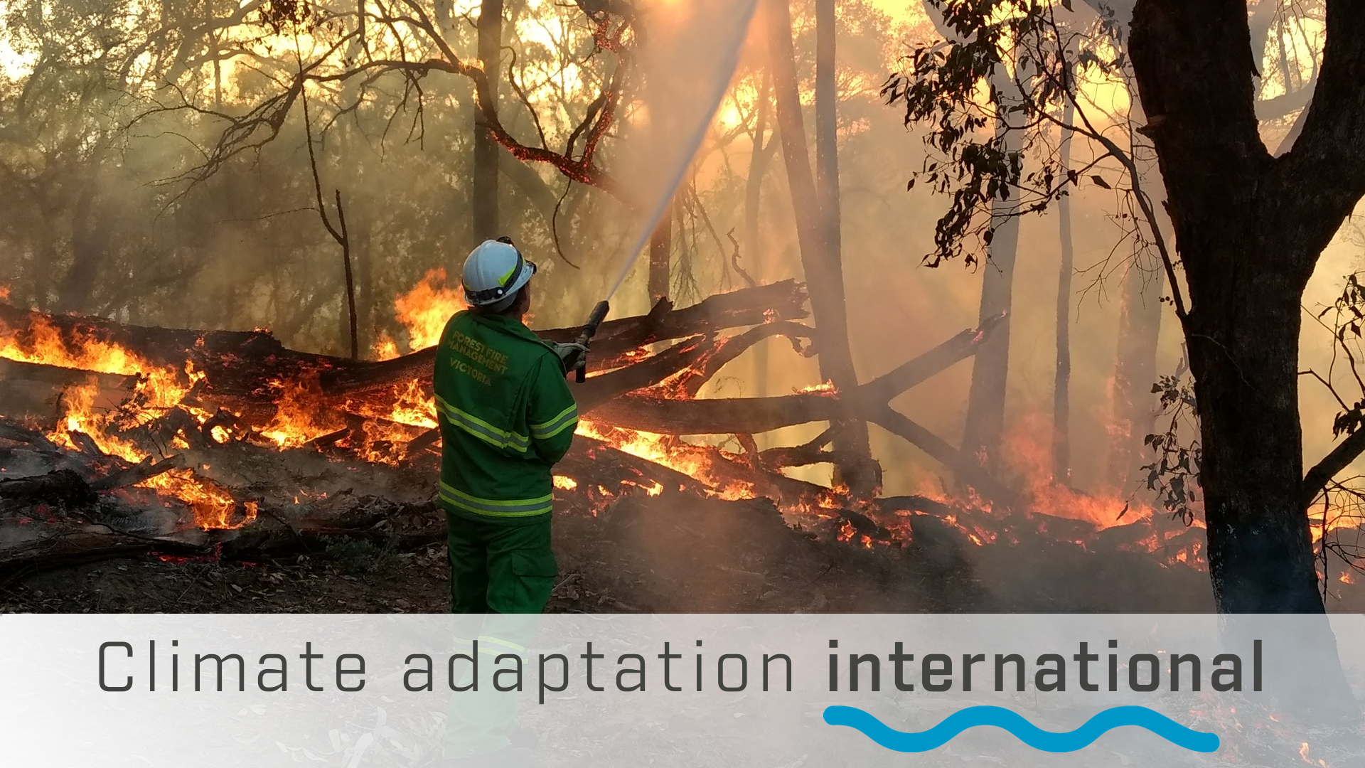 A fire fighter trying to extinguish a forest fire with the text Climate change adaptation international