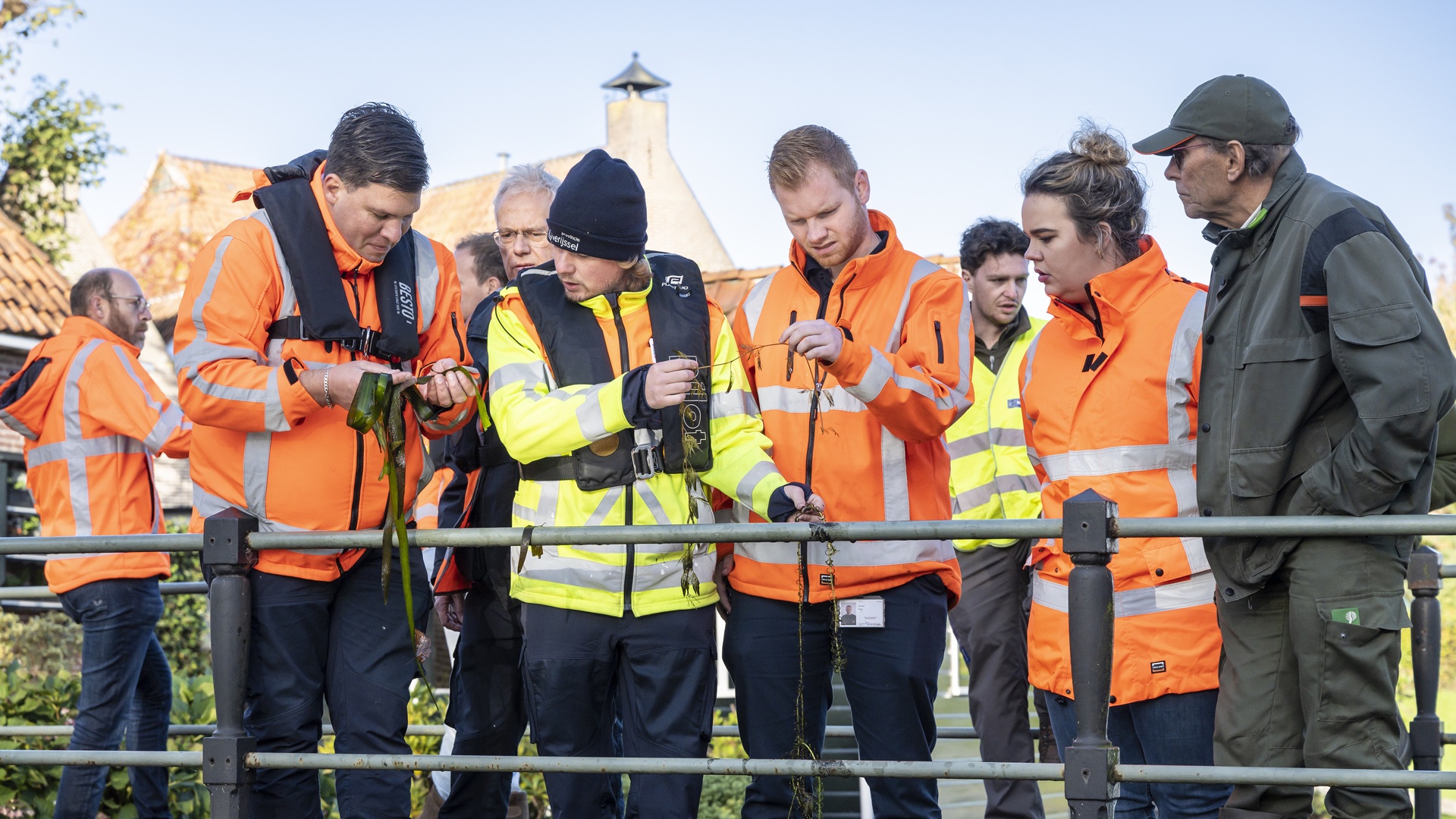 Mannen en vrouwen in beschermende kleding die waterplanten vasthouden en bekijken
